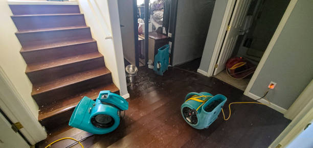Trusted IN Water damage restoration Experts