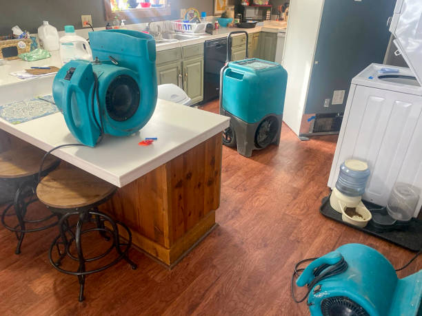 Best Water damage repair service  in Dianapolis, IN