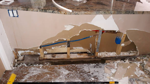 Best Flood damage cleanup  in Dianapolis, IN