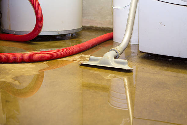  Dianapolis, IN Water damage restoration Pros