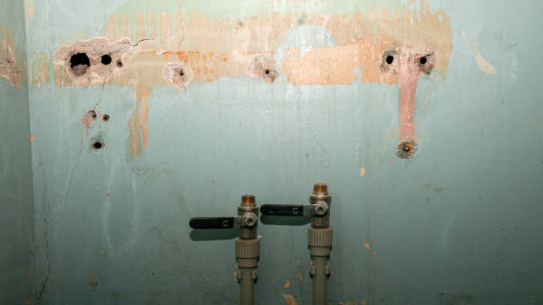 Water damage restoration mold remediation in IN