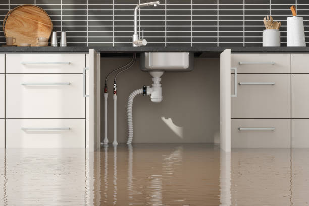 Best Water damage mitigation services  in Dianapolis, IN
