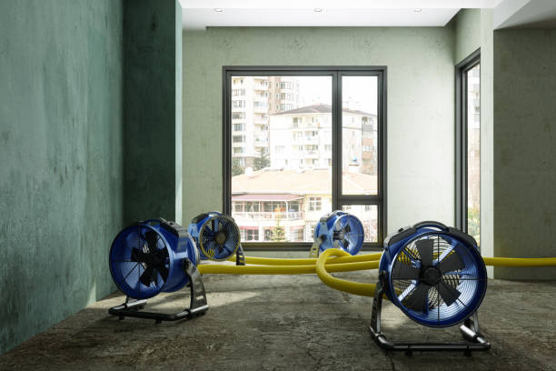 Best 24-hour water damage restoration  in Dianapolis, IN