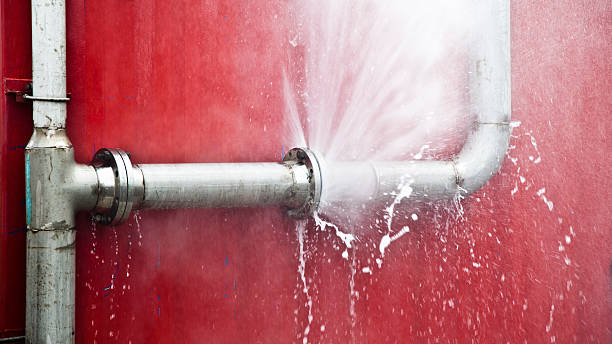 Best 24/7 water damage repair  in Dianapolis, IN